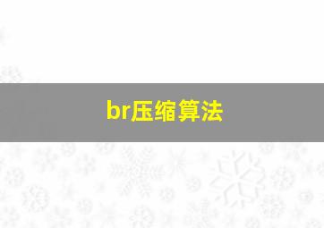 br压缩算法