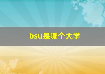 bsu是哪个大学