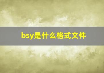 bsy是什么格式文件