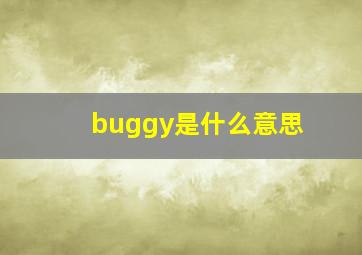 buggy是什么意思