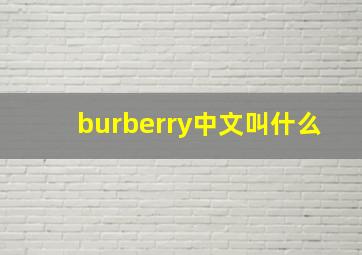 burberry中文叫什么