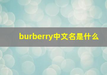 burberry中文名是什么