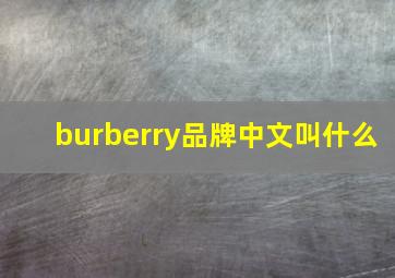 burberry品牌中文叫什么