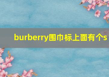 burberry围巾标上面有个s