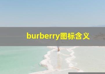 burberry图标含义