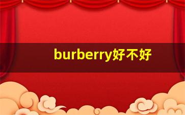 burberry好不好