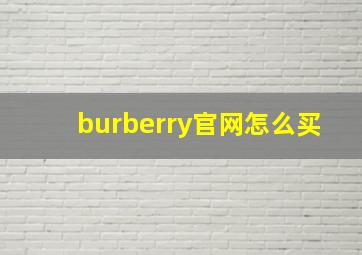 burberry官网怎么买