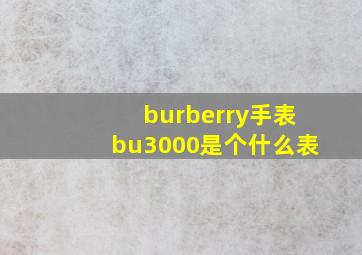 burberry手表bu3000是个什么表