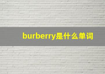 burberry是什么单词