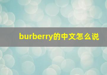 burberry的中文怎么说