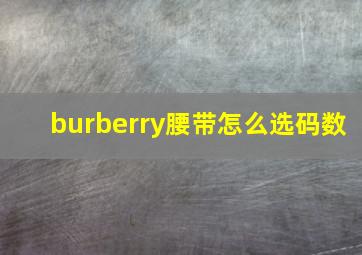 burberry腰带怎么选码数