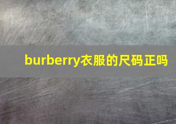 burberry衣服的尺码正吗