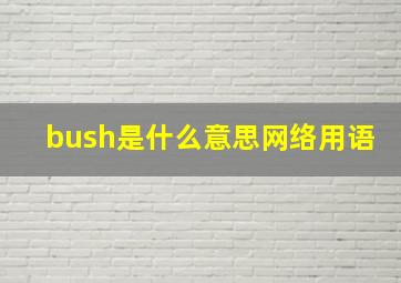 bush是什么意思网络用语