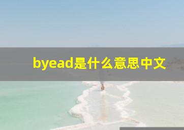 byead是什么意思中文