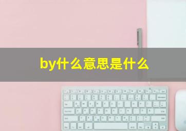 by什么意思是什么