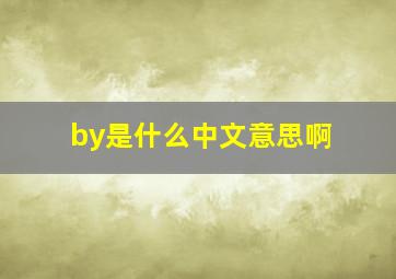 by是什么中文意思啊