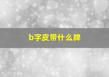 b字皮带什么牌