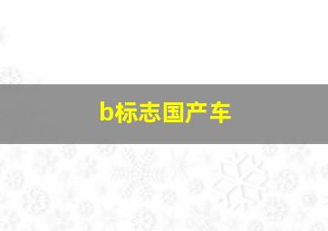 b标志国产车