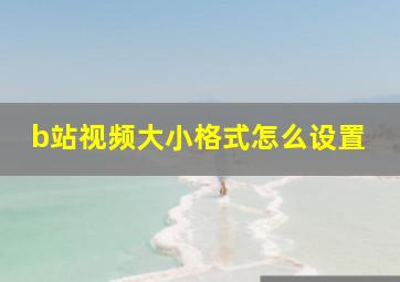 b站视频大小格式怎么设置