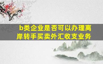 b类企业是否可以办理离岸转手买卖外汇收支业务