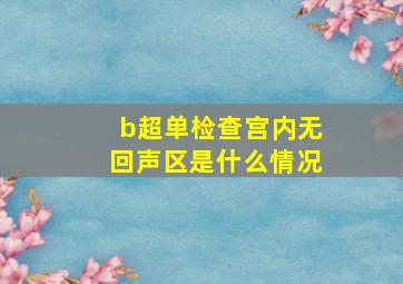 b超单检查宫内无回声区是什么情况