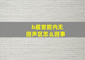 b超宫腔内无回声区怎么回事