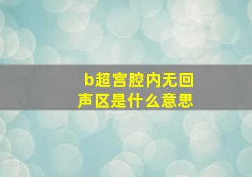 b超宫腔内无回声区是什么意思