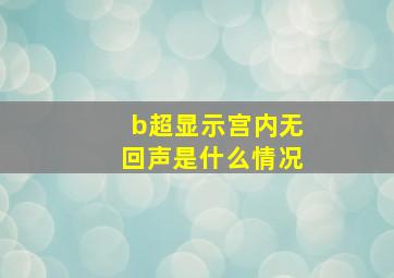 b超显示宫内无回声是什么情况