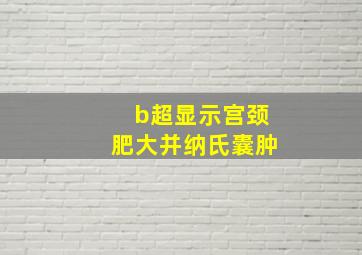 b超显示宫颈肥大并纳氏囊肿