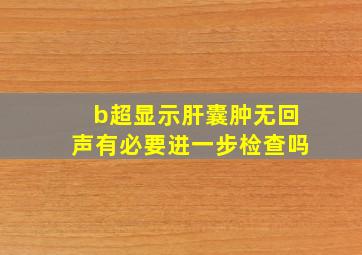 b超显示肝囊肿无回声有必要进一步检查吗