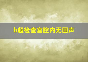 b超检查宫腔内无回声