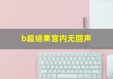 b超结果宫内无回声