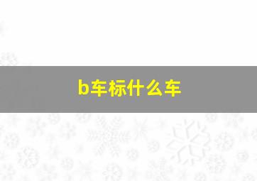 b车标什么车