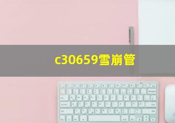 c30659雪崩管