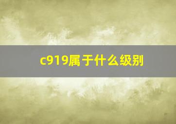 c919属于什么级别