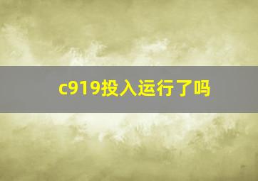 c919投入运行了吗