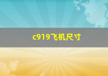 c919飞机尺寸