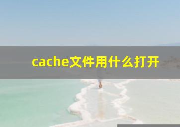 cache文件用什么打开