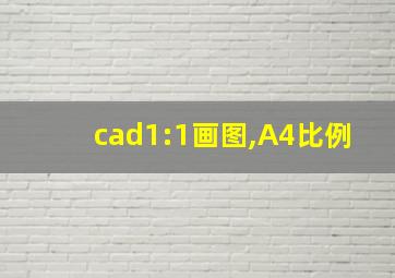 cad1:1画图,A4比例