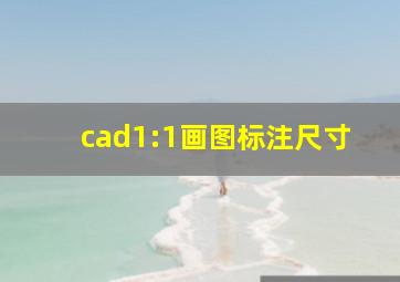 cad1:1画图标注尺寸