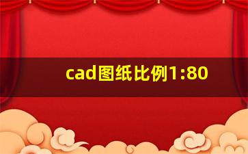 cad图纸比例1:80