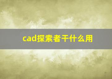 cad探索者干什么用