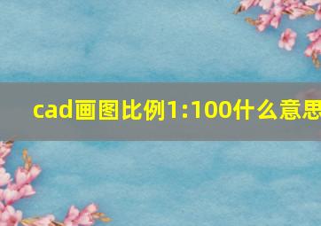 cad画图比例1:100什么意思