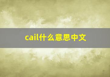 cail什么意思中文