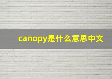 canopy是什么意思中文