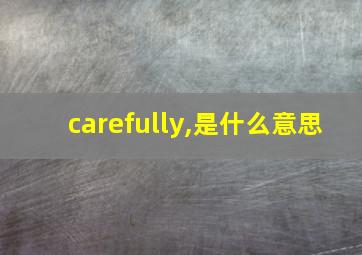 carefully,是什么意思