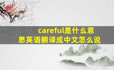 careful是什么意思英语翻译成中文怎么说