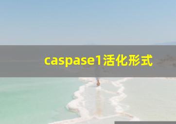 caspase1活化形式