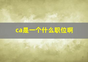 ca是一个什么职位啊