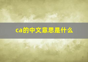 ca的中文意思是什么